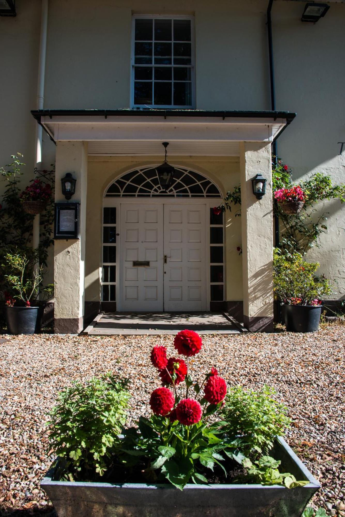 The Dove Inn Micheldever Exteriér fotografie